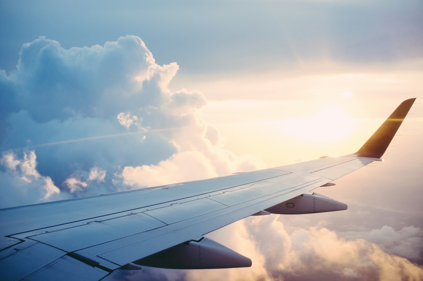 Airport transfer — Harsh Translink